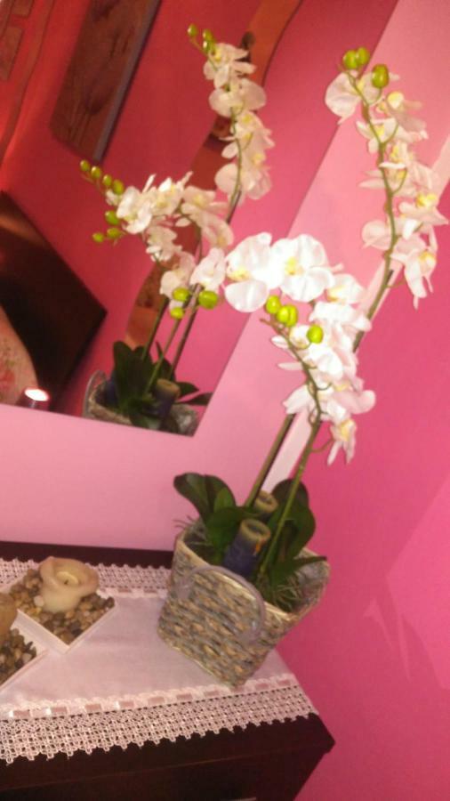 B&B San Vitale Bologna Ngoại thất bức ảnh